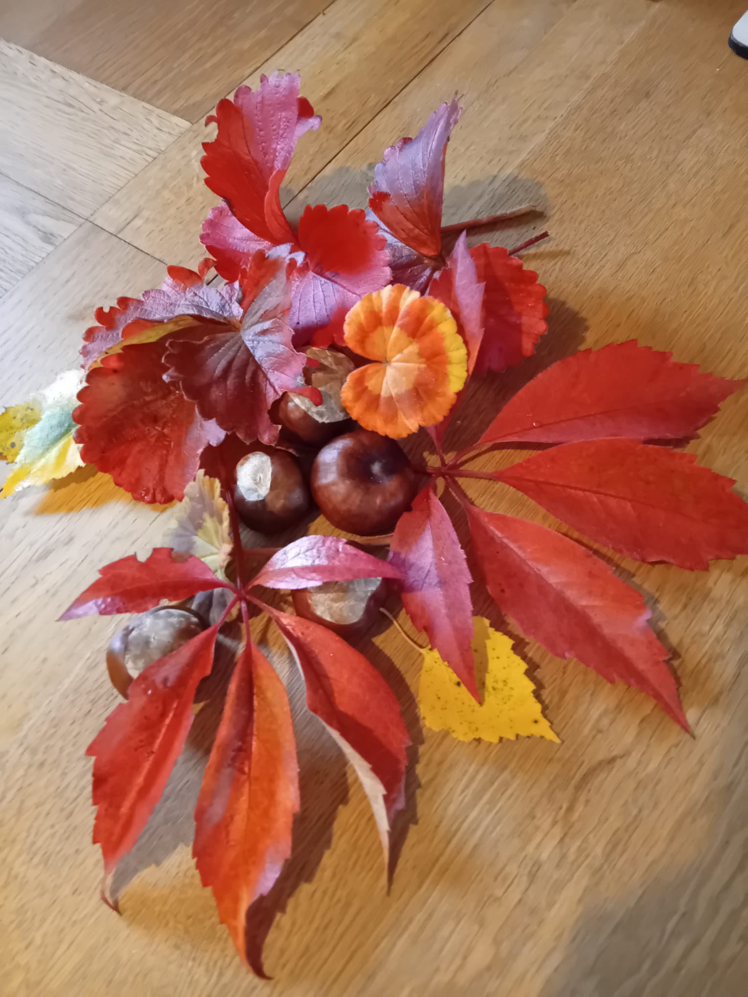 Vegetarian bed and breakfast, Lake District